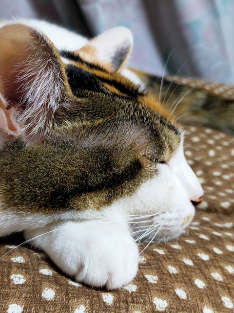 IMG20221023184909