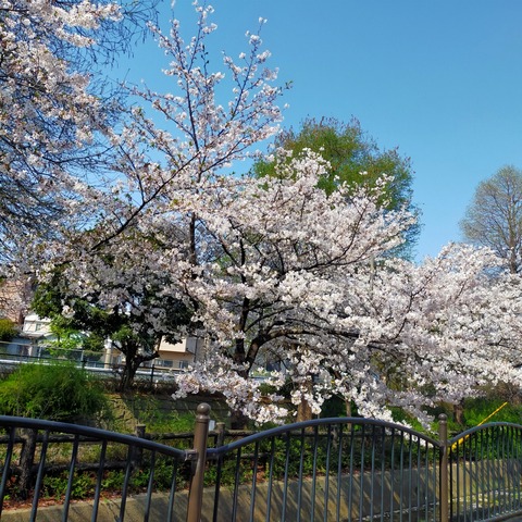 IMG20260403095149