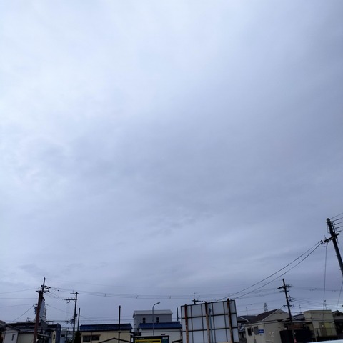 IMG20260506093925