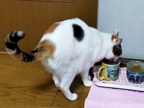 IMG20210124170931