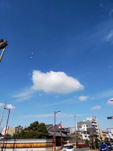 IMG20230119105728