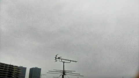 P_20191222_082707_HDR