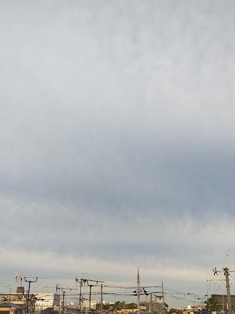 IMG20221027070905