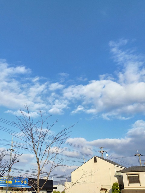 IMG_20210127_165252