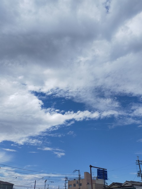 IMG_20230823_102319