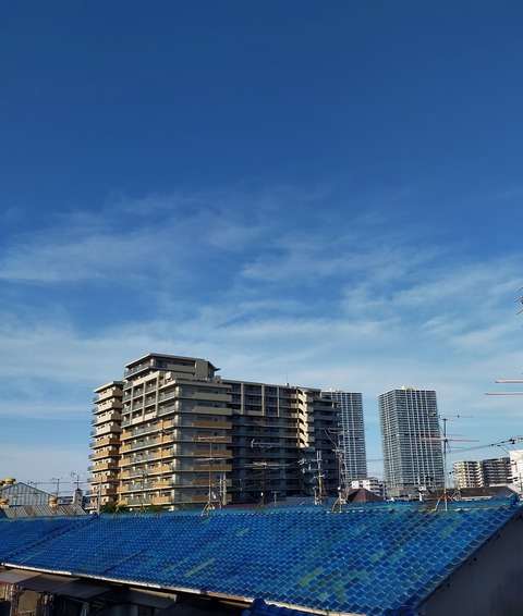 IMG_20260511_065729