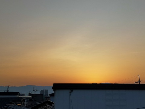 IMG20230309063336