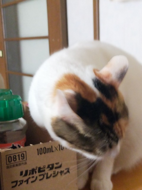 IMG20210309084858_01