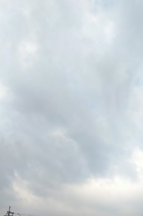 IMG_20251121_095829