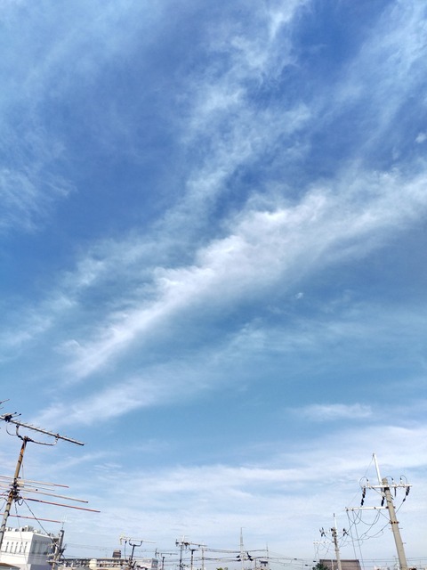 IMG20220628085142