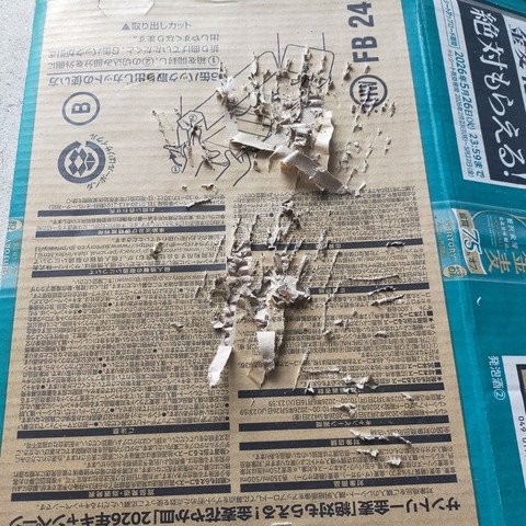 IMG20260604075806