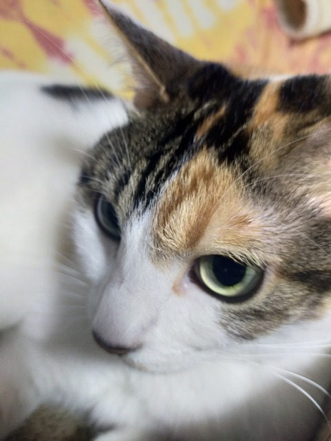 IMG20220304214913