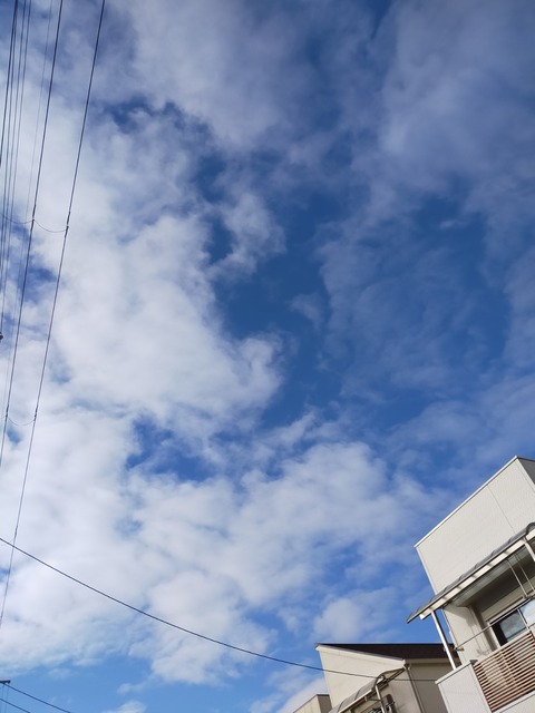 IMG20210120092600