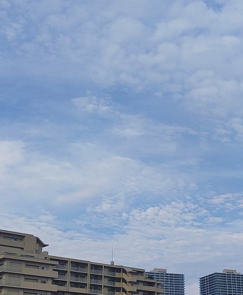 IMG_20260604_070700
