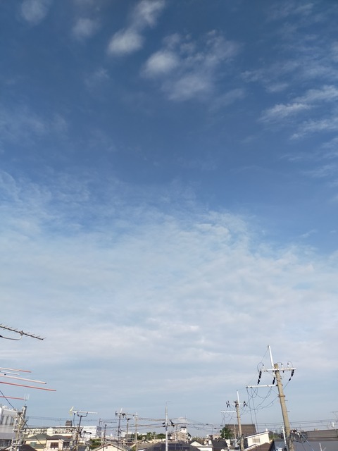 IMG20220721065842