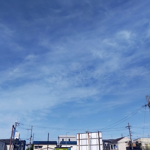 IMG_20260426_104212