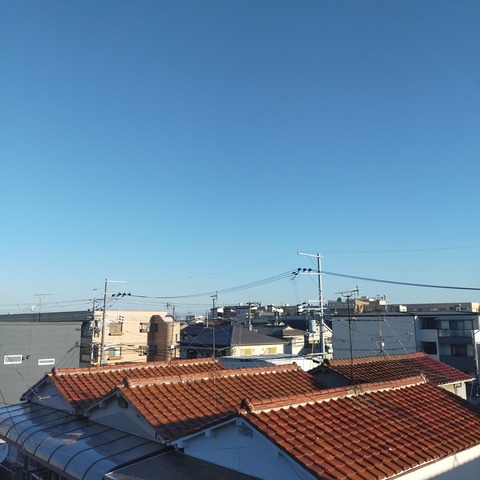 IMG20260710061254