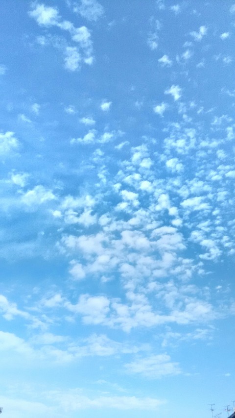 P_20200122_095718_HDR