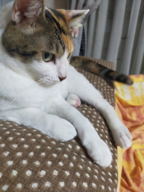 IMG20230823235250