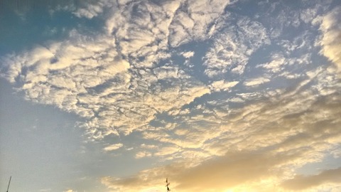 P_20191112_065626_HDR