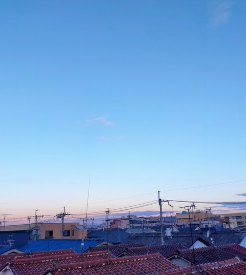 IMG_20221230_071637