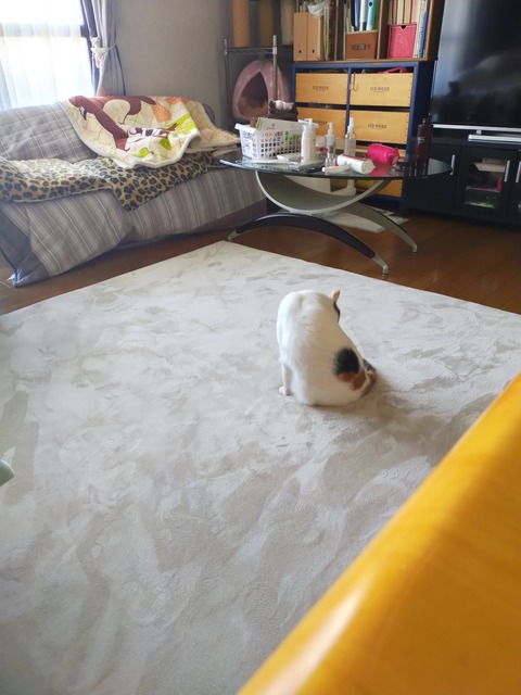 IMG20250314155401