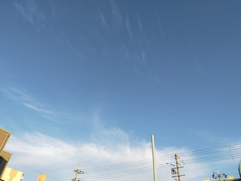 IMG20201126074018