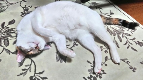 P_20200123_231309_HDR