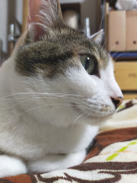 IMG20230521214714