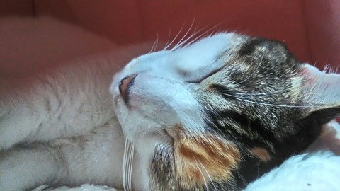 P_20191224_224815_HDR