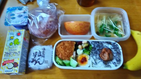 P_20200124_130853_HDR