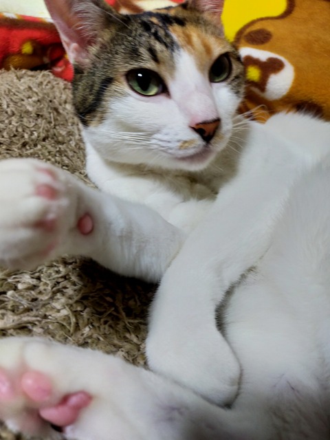 IMG20211128002255