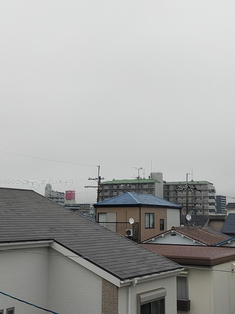 IMG20230623061041