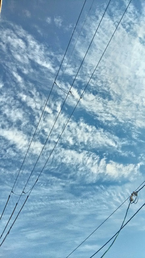 P_20191107_081415_HDR