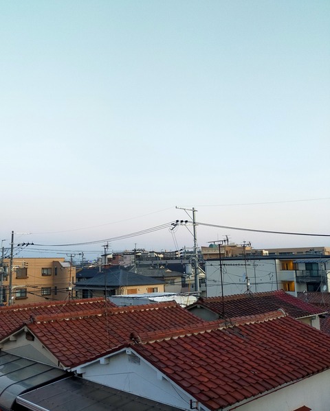 IMG_20260408_060317