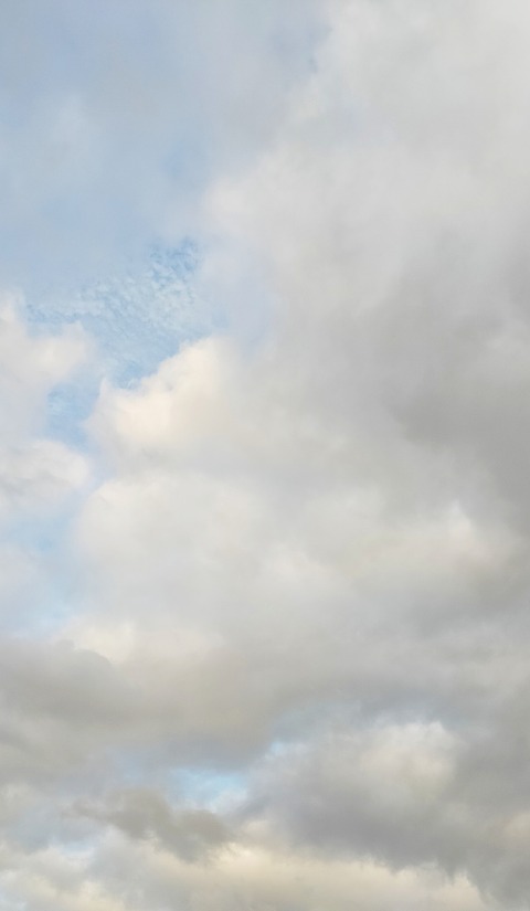 IMG_20220921_092143