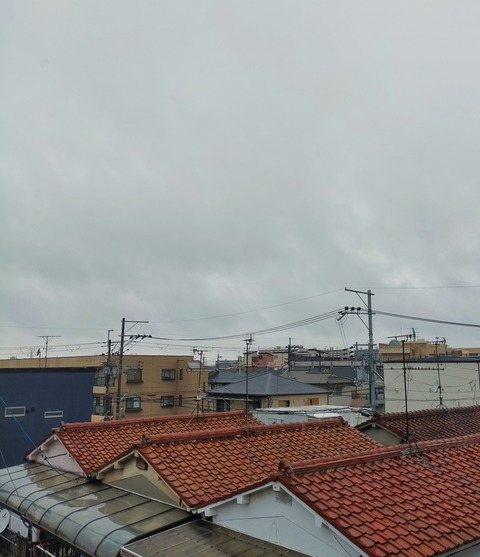 IMG_20260628_083003