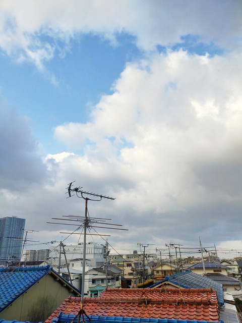 IMG_20220113_090006