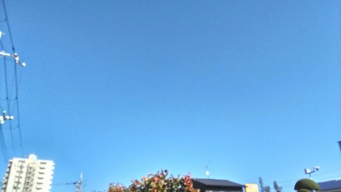 P_20191113_100240_HDR
