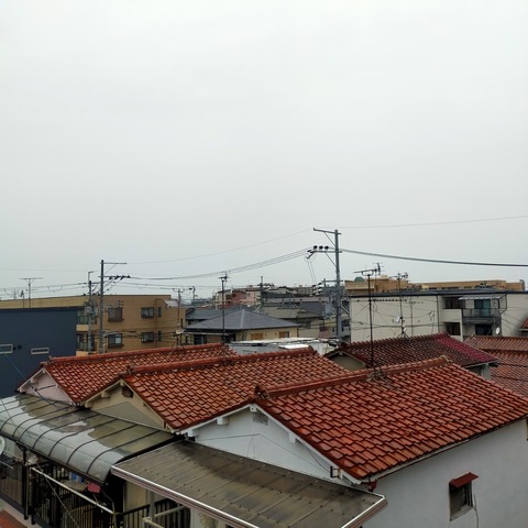 IMG20260430061559