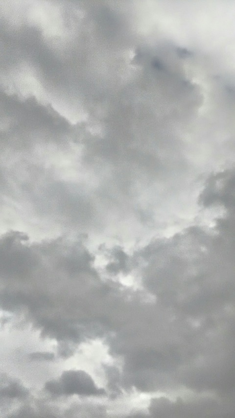 P_20200129_091459_HDR