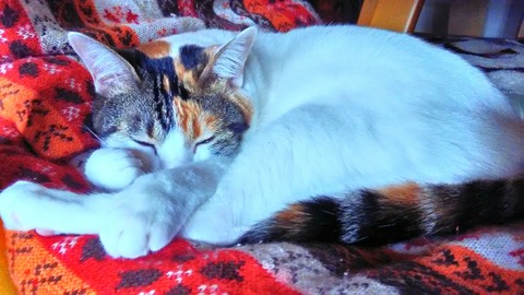 P_20200124_135742_HDR