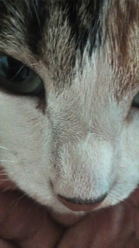 P_20200119_143504_HDR