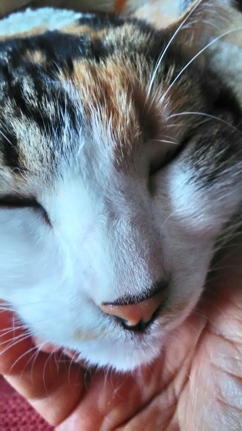 P_20200117_110929_HDR