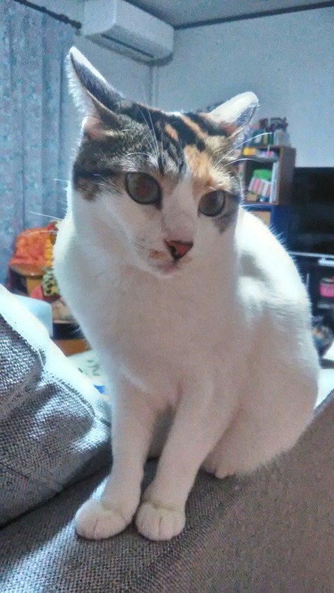 P_20191224_064001_HDR