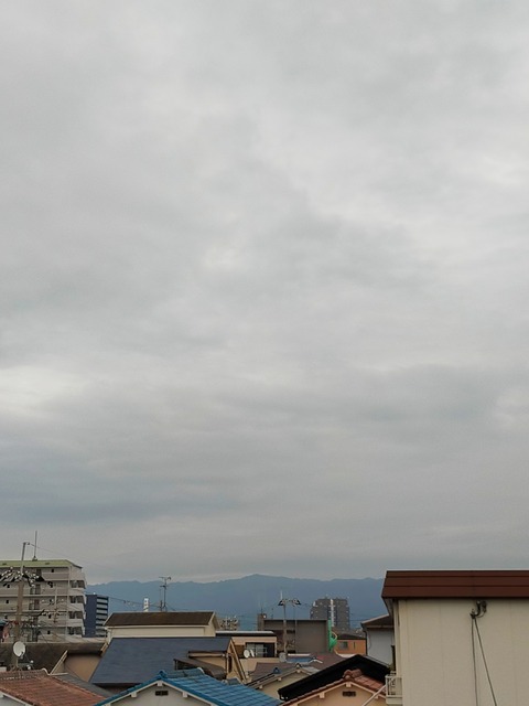 IMG_20220928_073343
