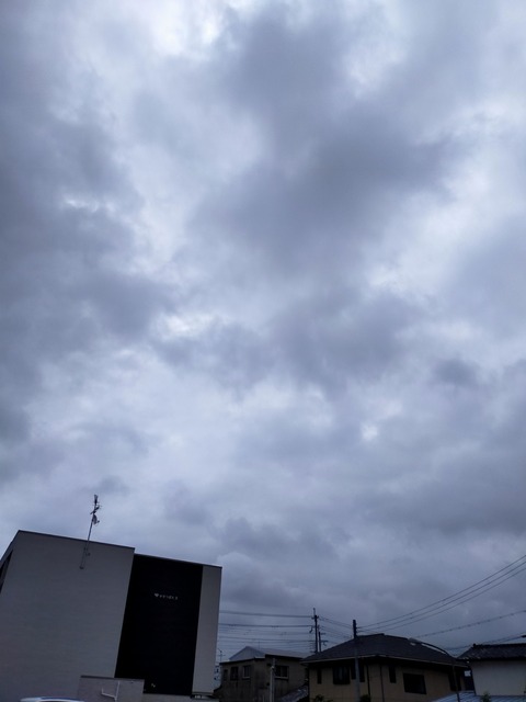 IMG20200628095910