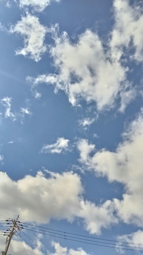 P_20200121_130748_HDR