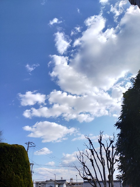 IMG20250309150019