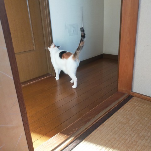 IMG20260611055639
